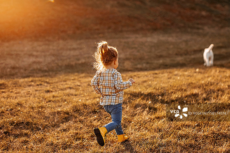 我的小狗喜欢奔跑图片素材