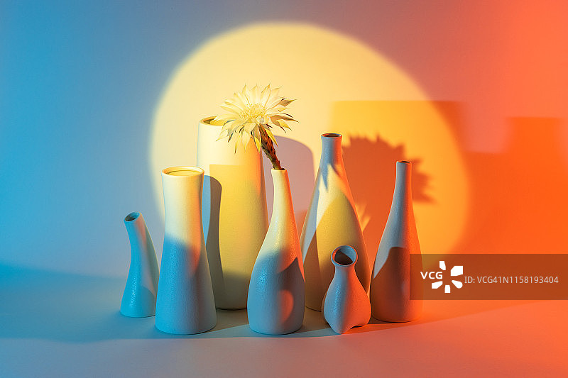 聚光灯下的花瓶仙人掌花图片素材