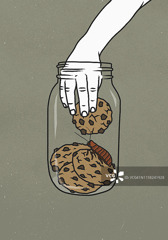 手伸入有蟑螂的饼干罐图片素材