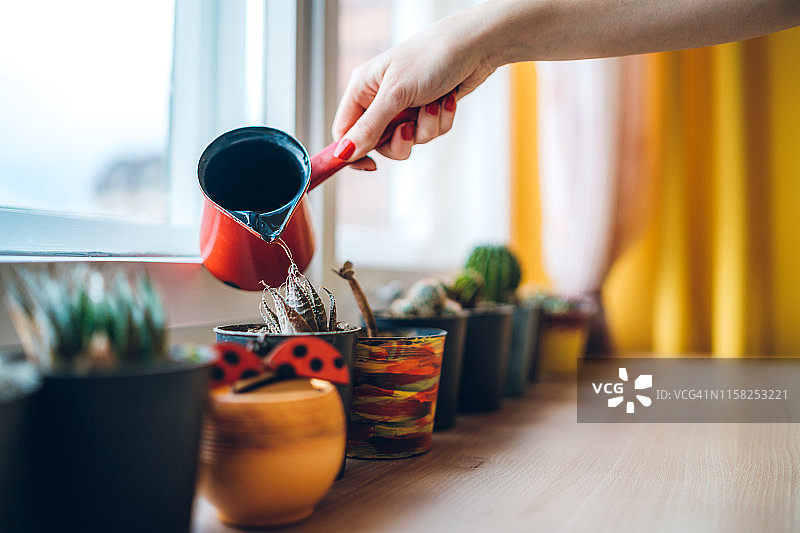 浇灌植物图片素材