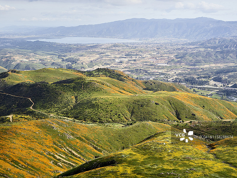 山谷中的超级花海图片素材