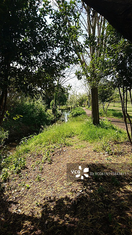 在公园里图片素材