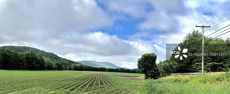 美国缅因州拉姆福德附近的玉米地全景图片素材