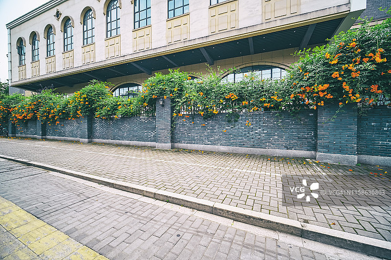 中国杭州的鲜花墙图片素材