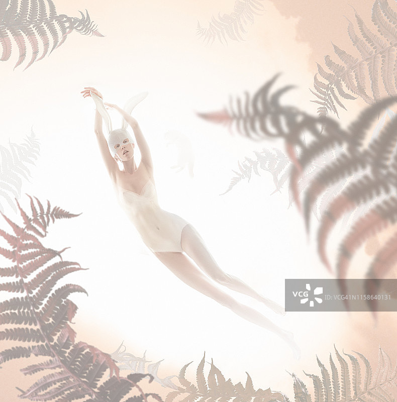 迷雾中图片素材