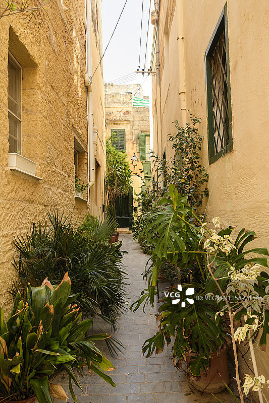 马耳他戈佐岛维多利亚，一条隐藏的狭窄小巷，两旁是蜂蜜色的豪宅图片素材