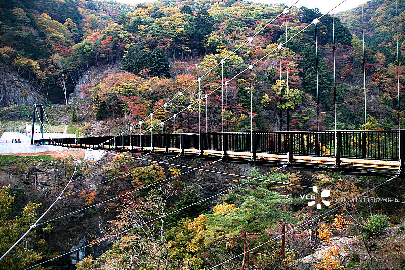 鬼怒川河悬索桥图片素材