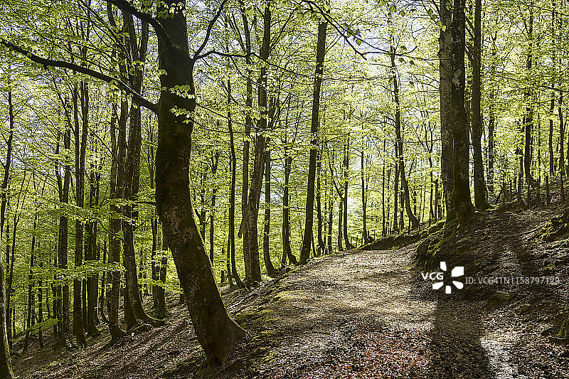 西班牙吉普斯夸的艾兹科里山图片素材