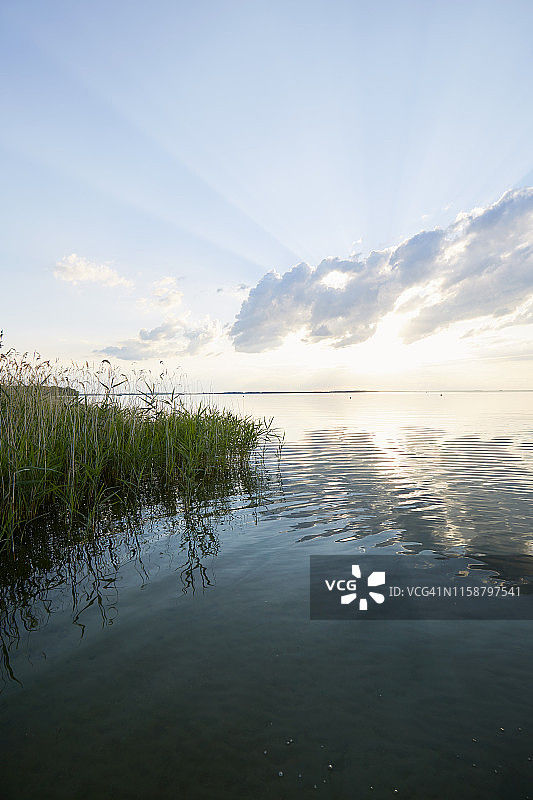 湖边芦苇草的傍晚天空，云景，海景图片素材