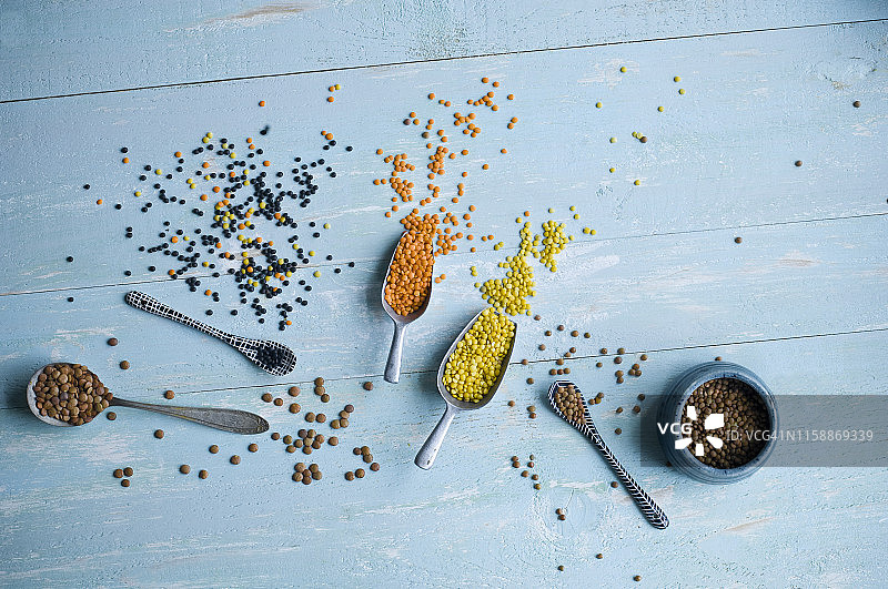 各种小扁豆图片素材