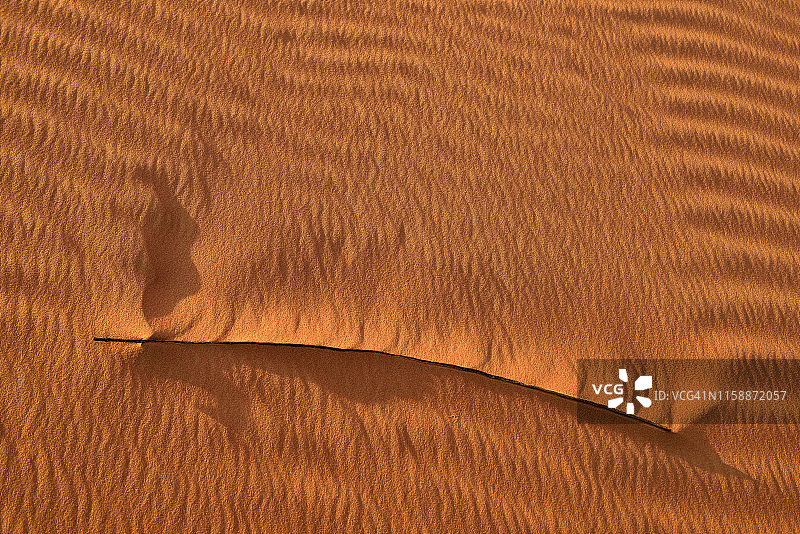 阿拉伯联合酋长国鲁卜哈利沙漠沙纹和干草叶图片素材