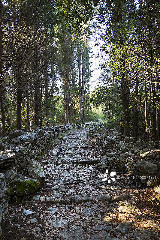 意大利利古里亚蓬塔科尔沃沿海小径图片素材