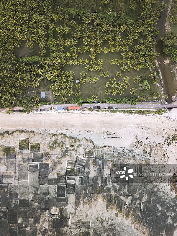 印度尼西亚松巴哇岛卡塔萨里：海藻种植园航拍图片素材