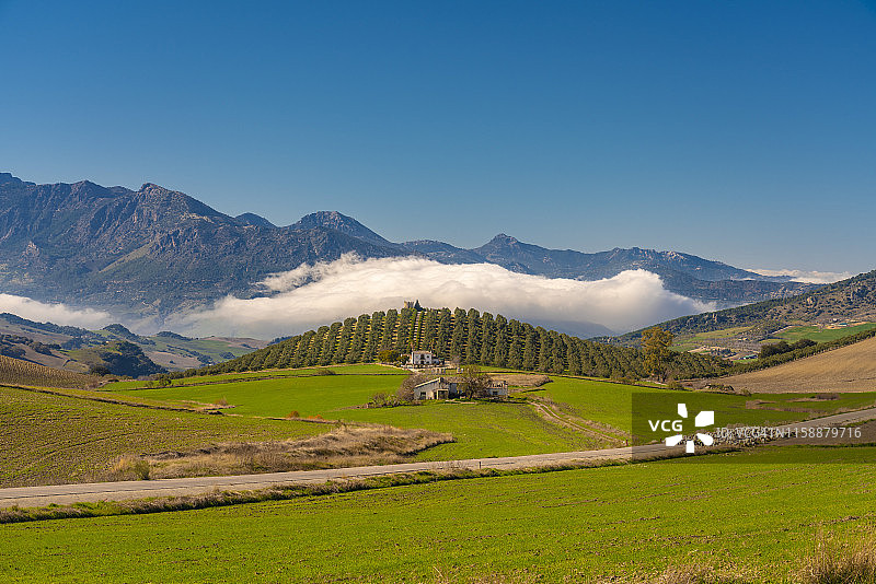 西班牙安达卢西亚龙达附近的绿色景观和农舍绵羊图片素材