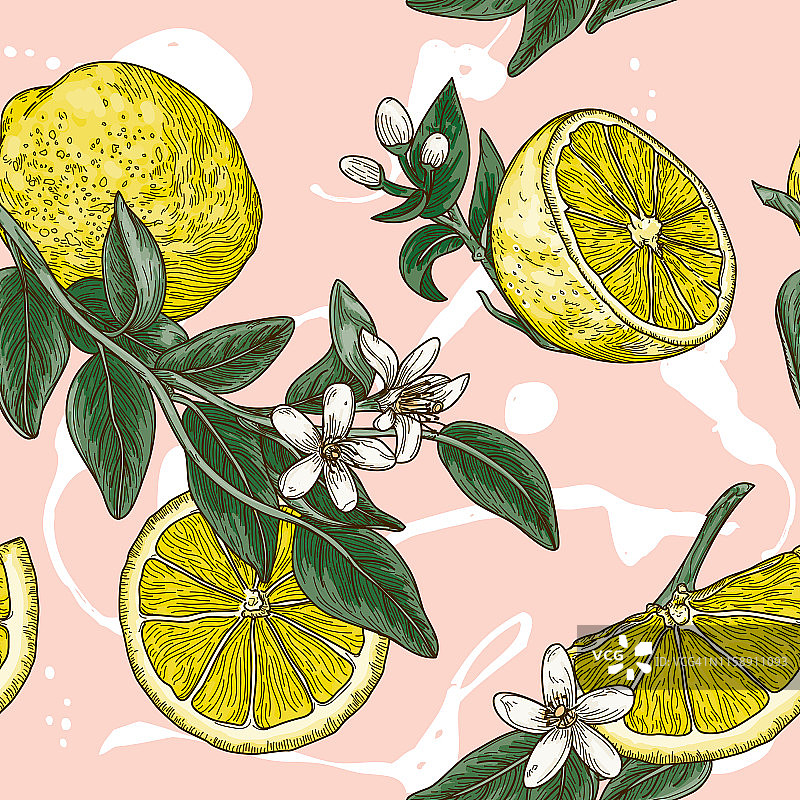 复古柠檬柑橘花无缝图案图片素材