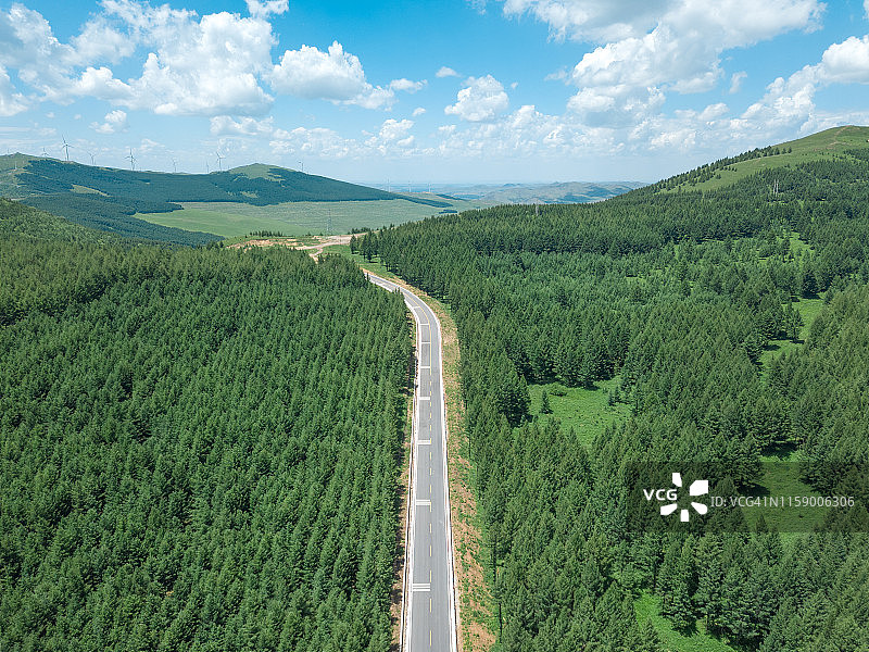 森林中的道路鸟瞰图片素材