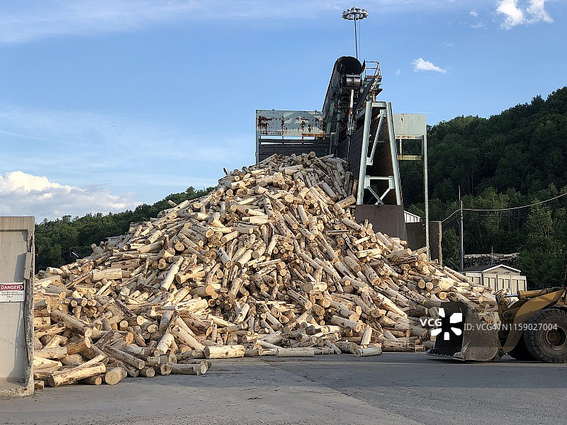 为切片和造纸工业收集的纸浆木材图片素材