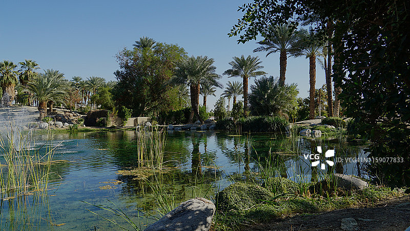 科切拉山谷的绿洲图片素材