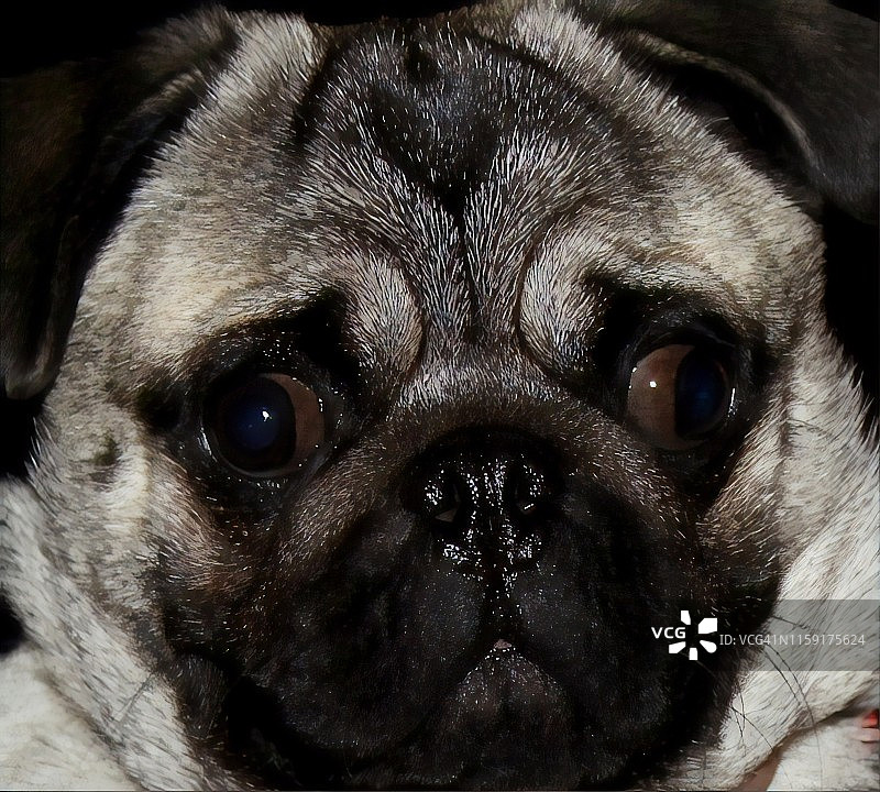 我认识你吗？图片素材