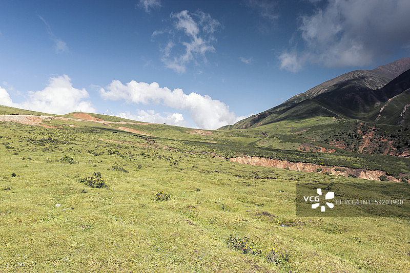 蓝天白云下的青藏高原山地草原风光图片素材
