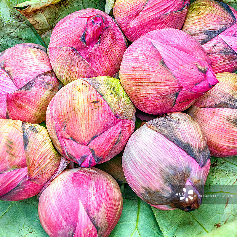 新加坡小印度图片素材