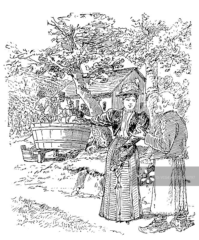 两人在桶里踩葡萄，榨出葡萄汁图片素材