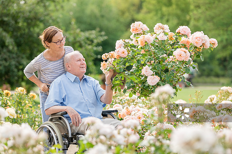 居家护理员和坐轮椅的老年人在户外散步图片素材