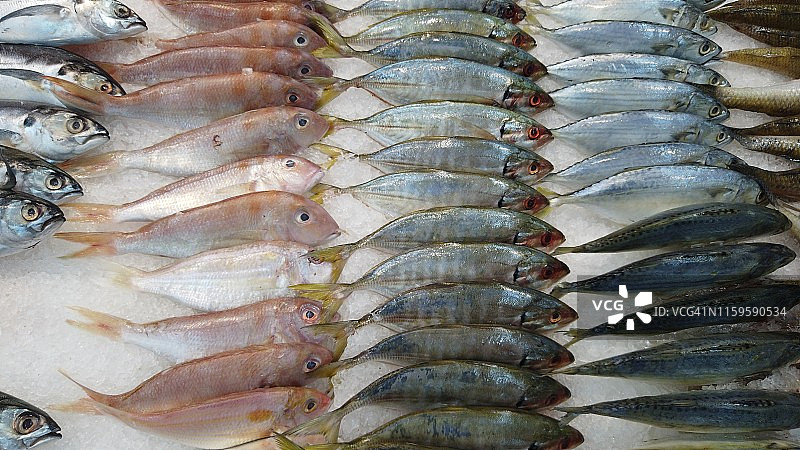 市场售卖的鱼图片素材