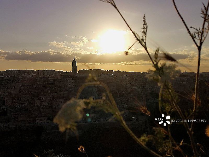 马泰拉前景鲜花日落图片素材