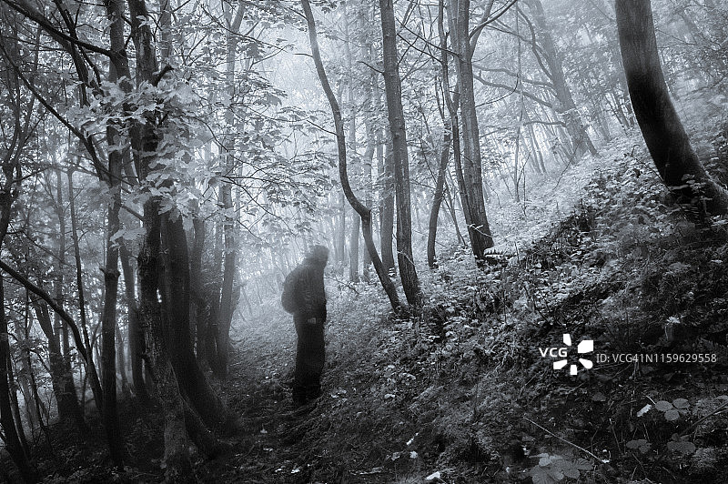 阴森迷雾森林中的模糊轮廓身影图片素材