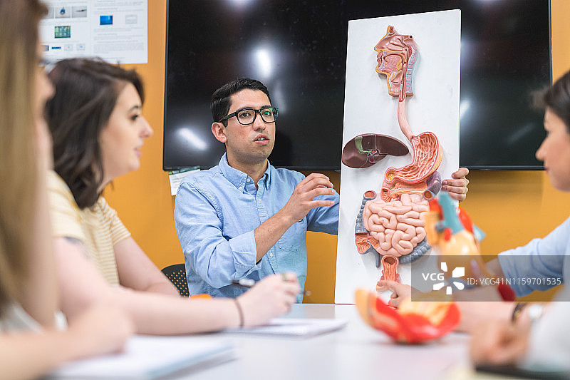大学生解剖学与生理学学习小组图片素材