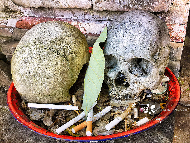 放在托盘上的两个人类头骨，周围环绕着香烟图片素材