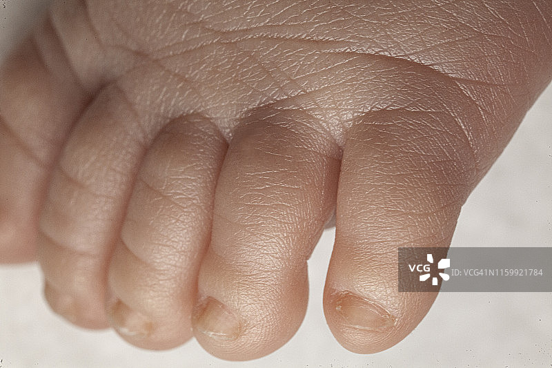 婴儿脚微距特写图片素材