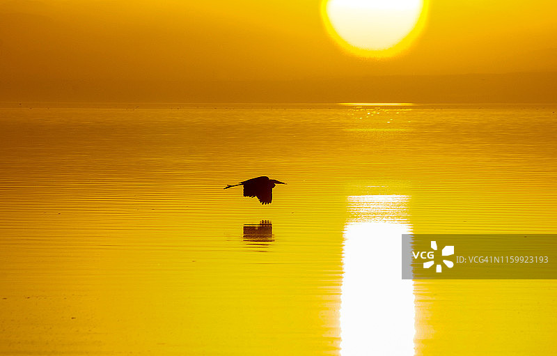 黄昏时分的索尔顿海海岸图片素材