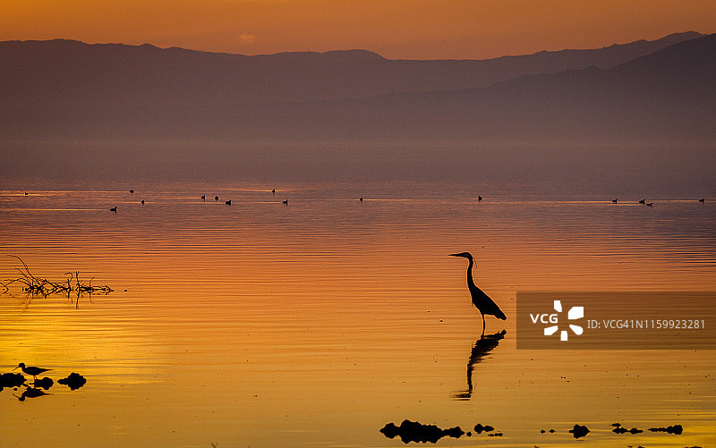 黄昏时分的索尔顿海海岸图片素材