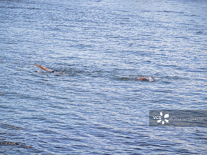 两个人在海里游泳图片素材