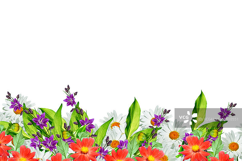 春天的花朵图片素材