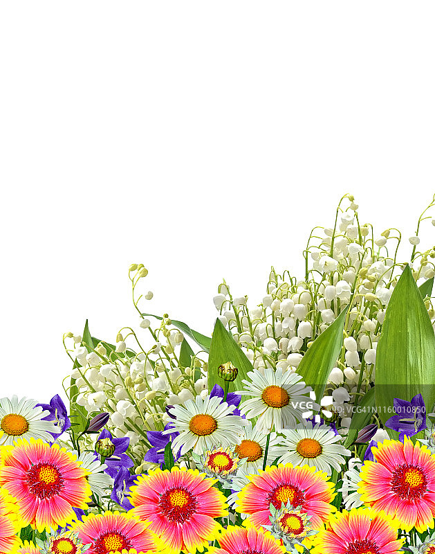 天然花卉背景图片素材