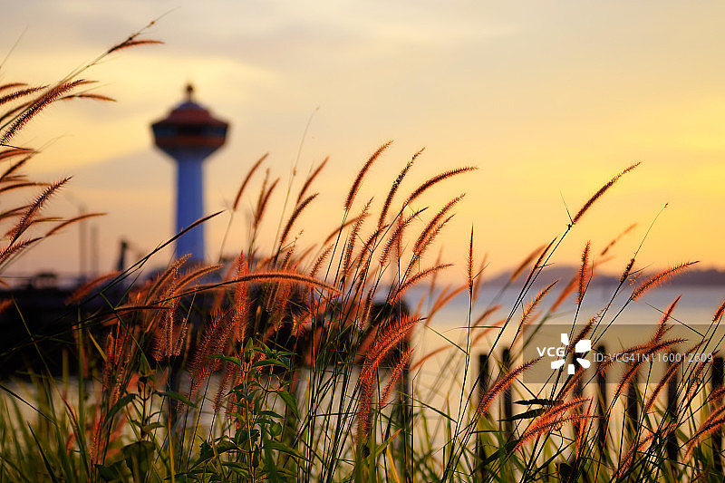 泰国拉廊府热带海滩日落时分美丽的灯塔和草地，对面是缅甸德林达依省最南端的卡曾图片素材