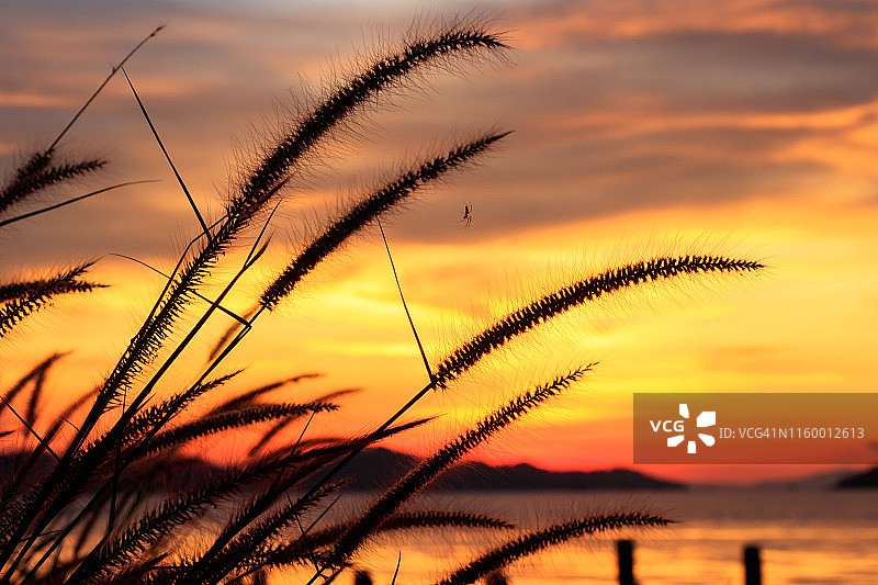 泰国拉廊府热带海滩日落时分美丽的灯塔和草地，对面是缅甸德林达依省最南端的卡曾图片素材