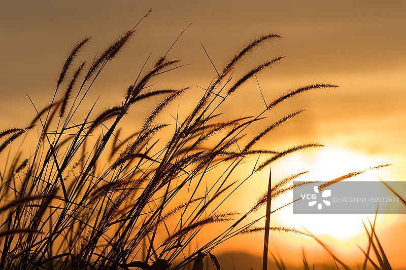 泰国拉廊府热带海滩日落时分美丽的灯塔和草地，对面是缅甸德林达依省最南端的卡曾图片素材