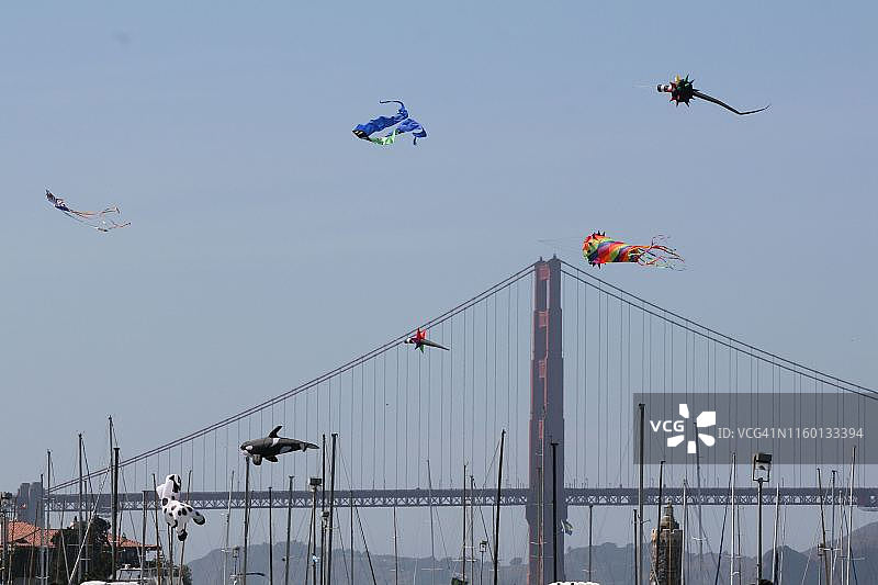 金门大桥阴影下的旧金山风筝图片素材