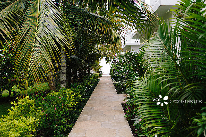 牙买加内格里尔图片素材