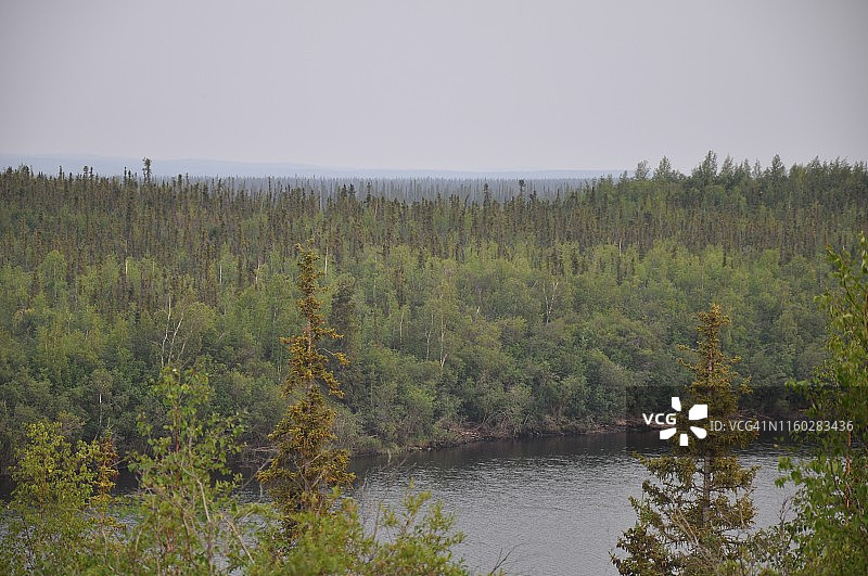 北方森林图片素材