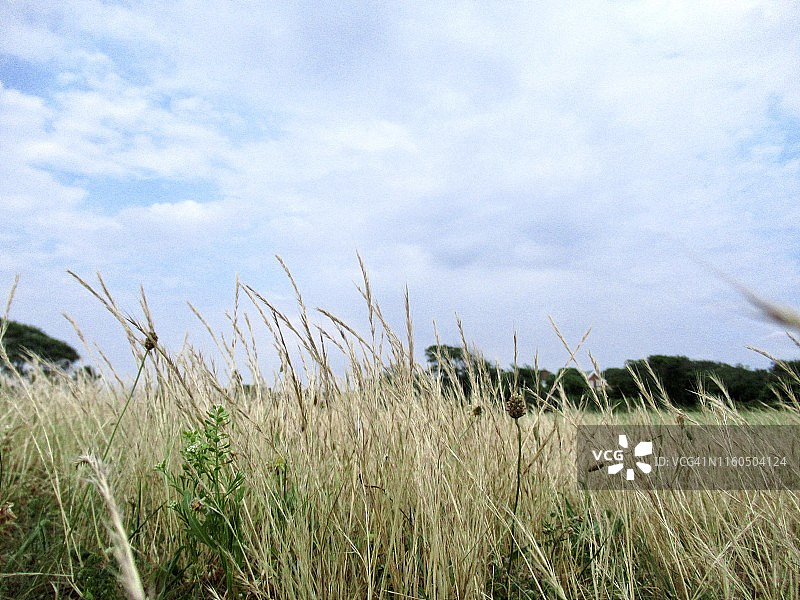 夏日自行车公路旅行:纽约皇后区蒂尔登堡盖特威国家游乐区图片素材
