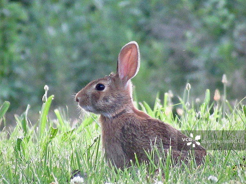 夏季一日游：通往纽约皇后区蒂尔登堡垒国家游乐区之路图片素材