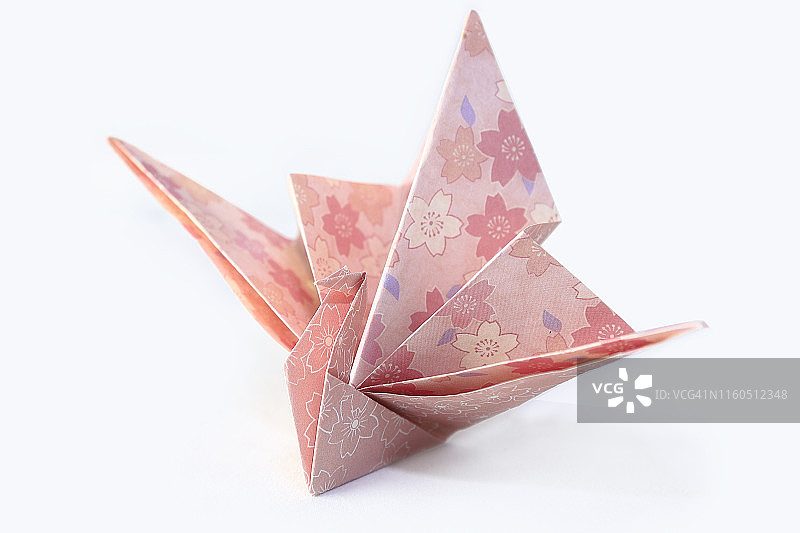 纸鸟特写图片素材