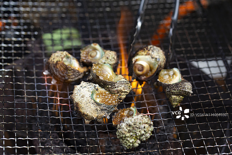热炭炉上烤制的蝾螺，日式新鲜海鲜烧烤图片素材
