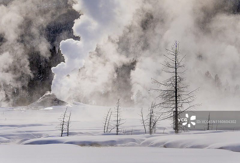 冬季白雪覆盖的黄石国家公园图片素材