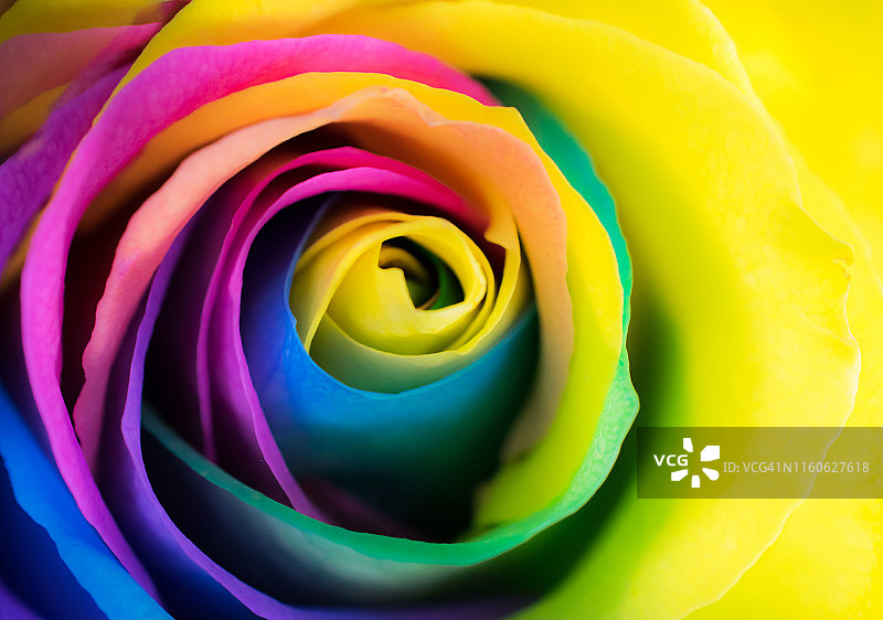 充满活力的粉色宏观多色图片素材